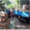 කොරෝනා ව්‍යසනයේදී පල්ලෙපොල අපි..