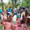 කොරෝනා ව්‍යසනයේදී පල්ලෙපොල අපි..